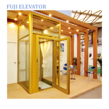 FUJI factory Small home Lift Elevator glass elevator lift platform with swing door